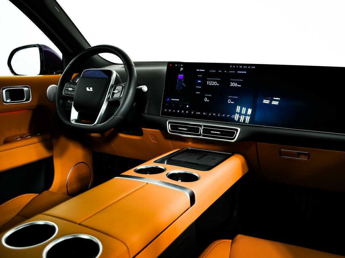 Б/У ЛиСян Л9 2023 года. Фото: #8