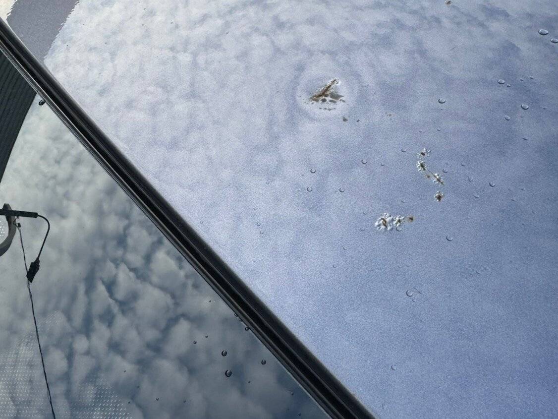 Б/У Чери Тигго 7 Про 2022 года. Фото: #9